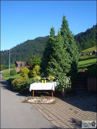 CIMG0068.JPG