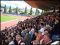 CIMG0295.JPG