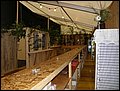 P8228030.JPG