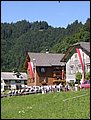 P8248341.JPG
