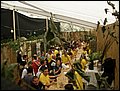 P8248455.JPG