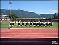 CIMG3945-1.JPG