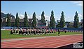 CIMG3948-1.JPG