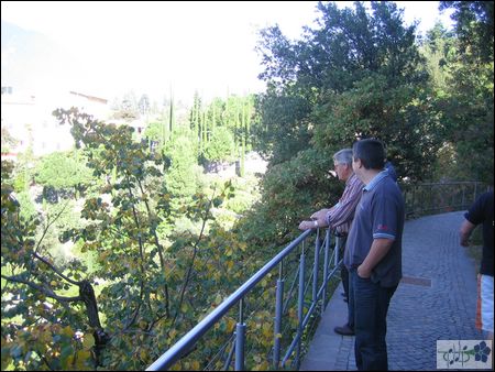 IMG_0122.JPG