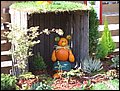 IMG_0054.JPG