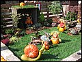 IMG_0056.JPG