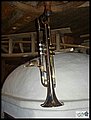 CIMG3149.JPG