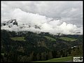 P5014792.JPG