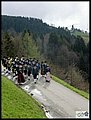 P5014820.JPG
