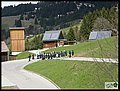 P5014849.JPG