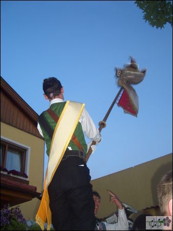 CIMG3661.JPG
