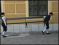 CIMG1303.JPG