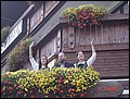 DSC03625.JPG