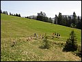 P5231817.JPG