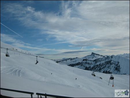 IMG_0262.jpg