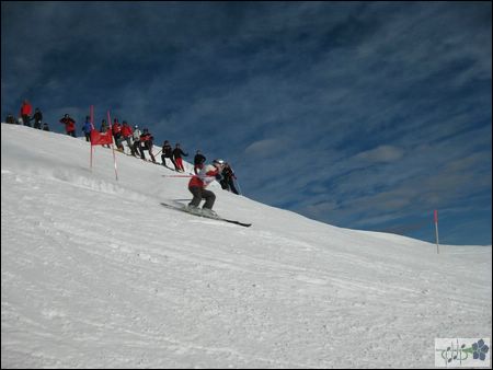 IMG_0263.jpg