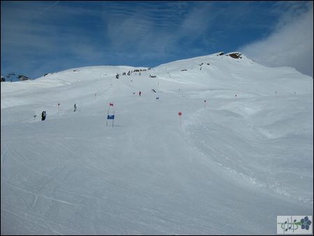 IMG_0267.jpg