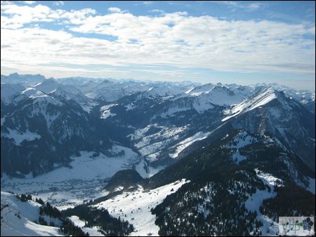 IMG_0277.jpg