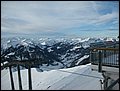 IMG_0261.jpg