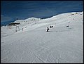 IMG_0271.jpg