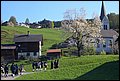 CIMG7638.JPG
