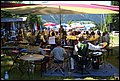 CIMG8146.JPG