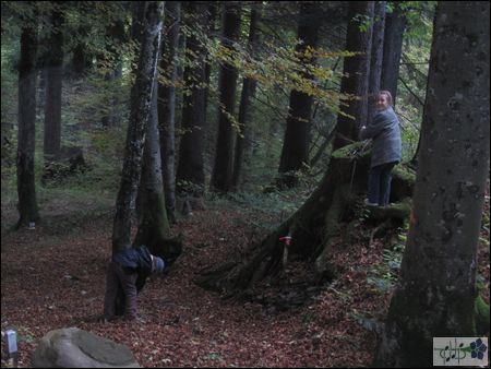 Jungmusik 199.JPG