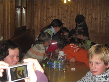 Jungmusik 219.JPG