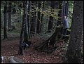 Jungmusik 199.JPG