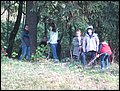 Jungmusik 205.JPG