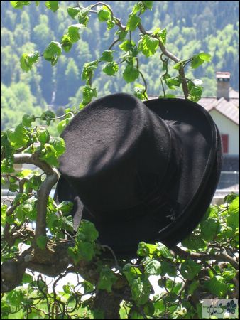 IMG_2863.jpg