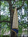IMG_2856.jpg
