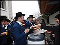 DSC01279.JPG
