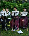DBLB9805_bearbeitet-1.JPG