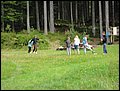 DSC02242.JPG