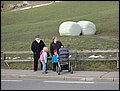 DSC02559.JPG