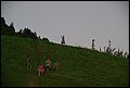 DBLB0667.JPG