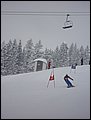 DSC02725.JPG