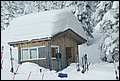 DSC06803.JPG
