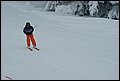 DSC06825.JPG
