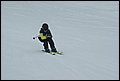 DSC06826.JPG
