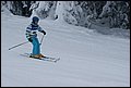 DSC06841.JPG