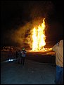 DSC03985.JPG