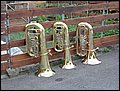 DSC05454.JPG