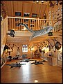 DSC05505.JPG