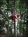 DSC05531.JPG