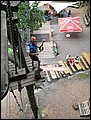 DSC05541.JPG