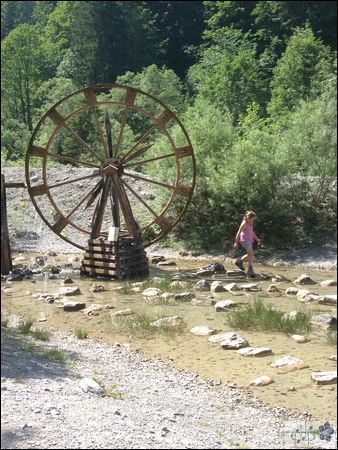 IMG_2167.JPG