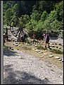 IMG_2171.JPG