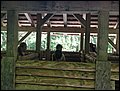 IMG_2173.JPG